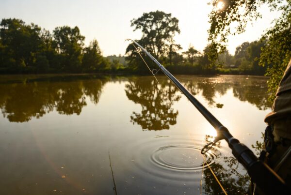 Fishing GW Premium Telescopic Fishing Rod